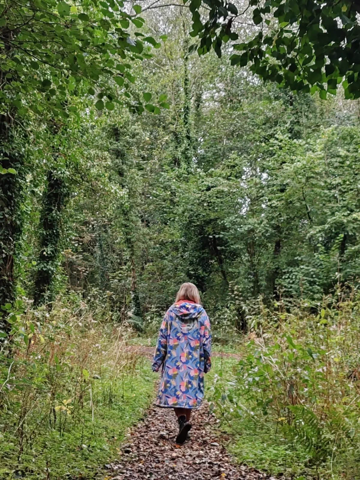 A mindful walk through woodland near Cardiff
